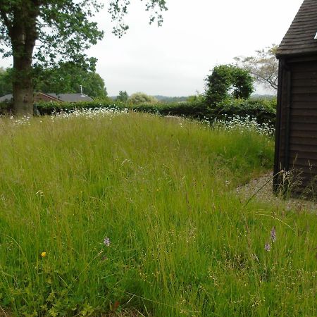 Bond'S Cottage Barn Royal Tunbridge Wells Eksteriør bilde