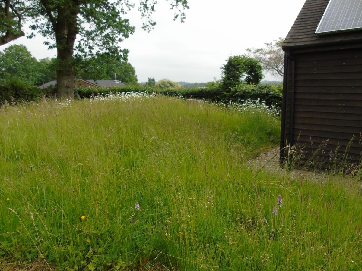 Bond'S Cottage Barn Royal Tunbridge Wells Eksteriør bilde